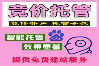某知名企业SEM营销推广的全面策略